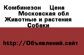 Комбинезон  › Цена ­ 1 500 - Московская обл. Животные и растения » Собаки   